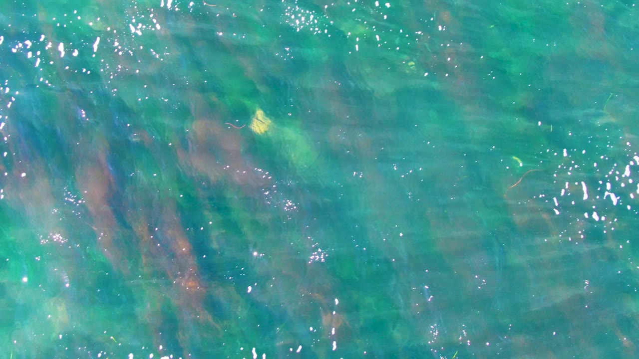 Overhead view of clear turquoise water in La Bocana with faint green and brown underwater vegetation, scattered white reflections, and no visible people.