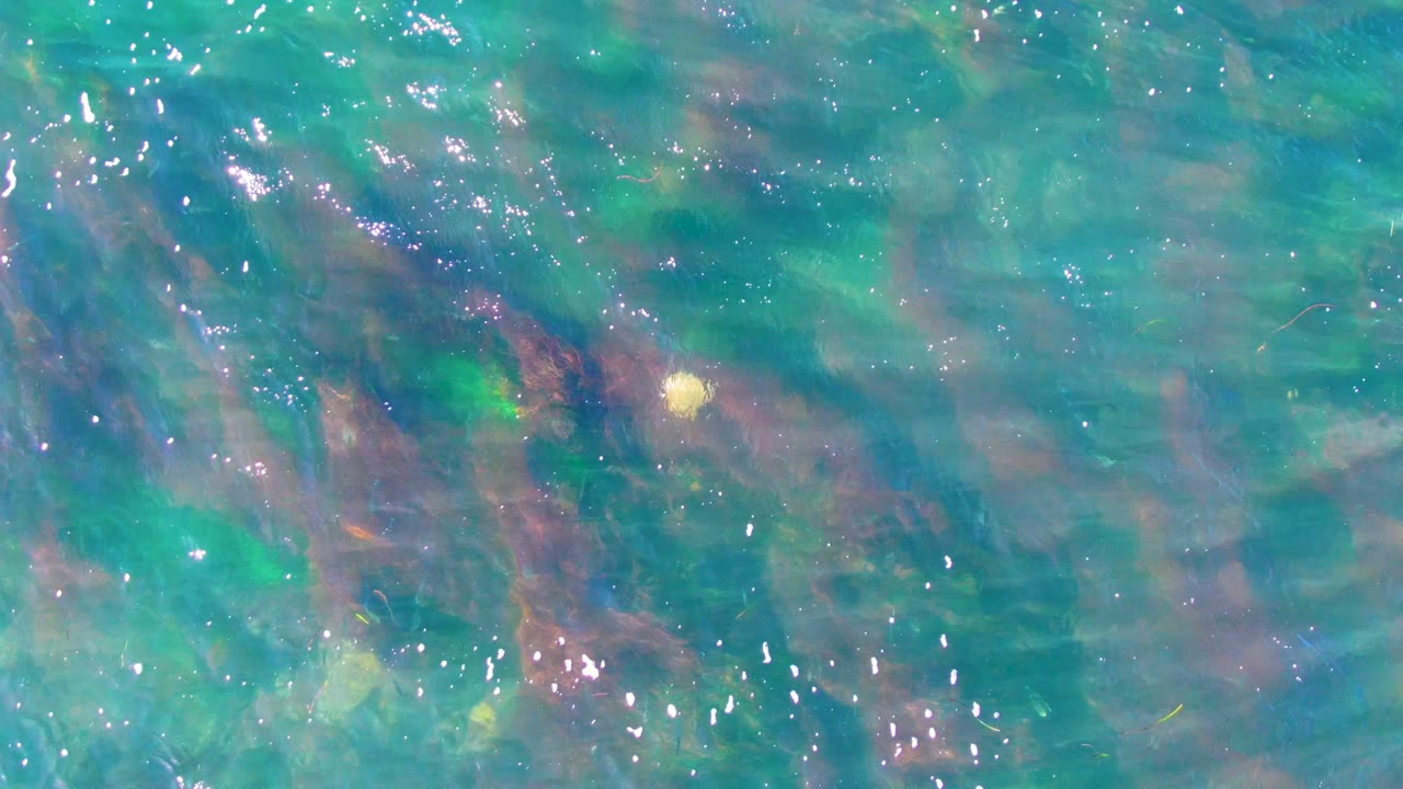 Overhead La Bocana water view with patchy green, brown, and muted red algae visible under turquoise ripples, plus bright reflection specks and no visible people.