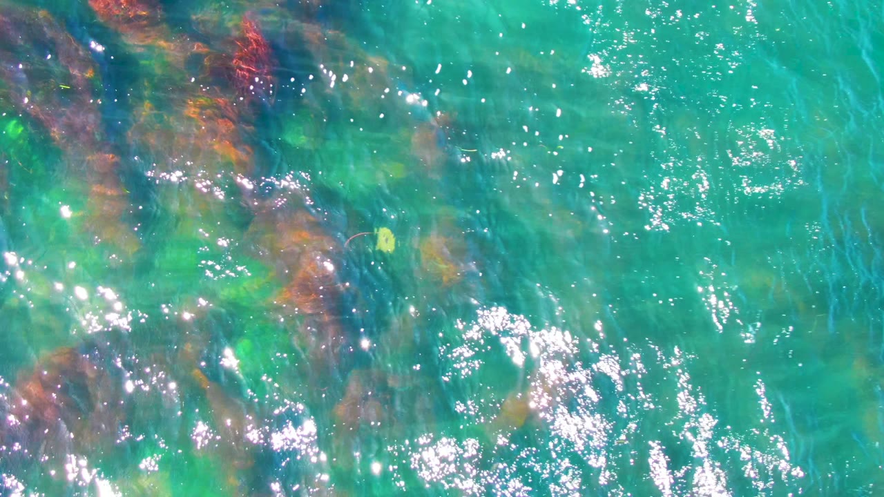 Top-down view of clear turquoise water over submerged rocks in La Bocana, Baja California Sur, with bright sun reflections and no visible people.