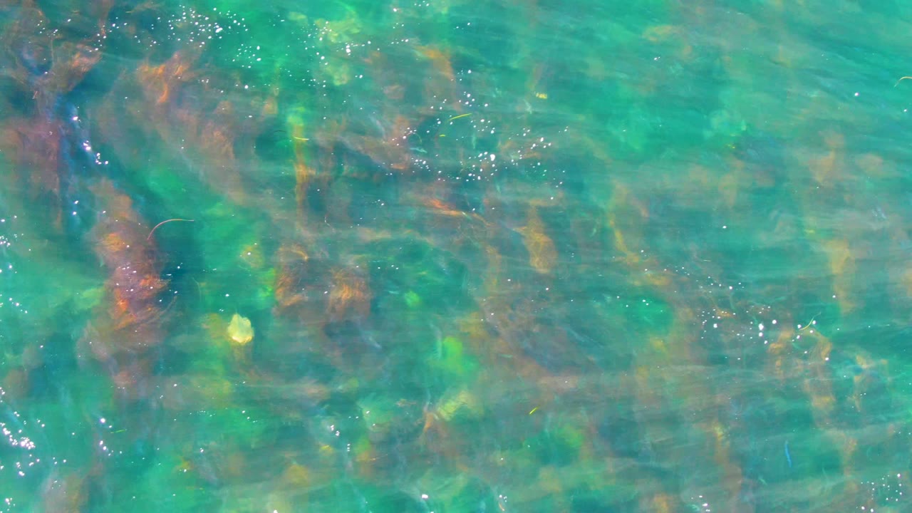 Turquoise shallow water in La Bocana, Baja California Sur, reveals rocky bottom patterns and a small yellow fish near the lower right, with no visible people.
