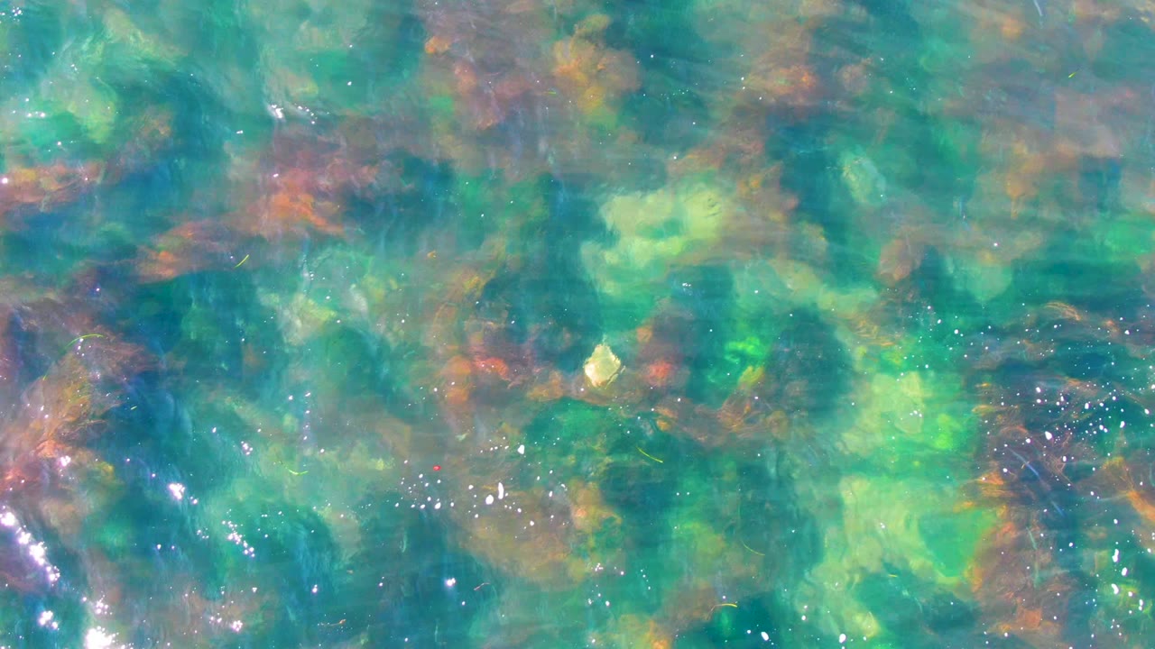 Clear shallow water at La Bocana, Baja California Sur shows green-blue tones over a mottled rocky seabed, with small sunlight sparkles and no visible people.