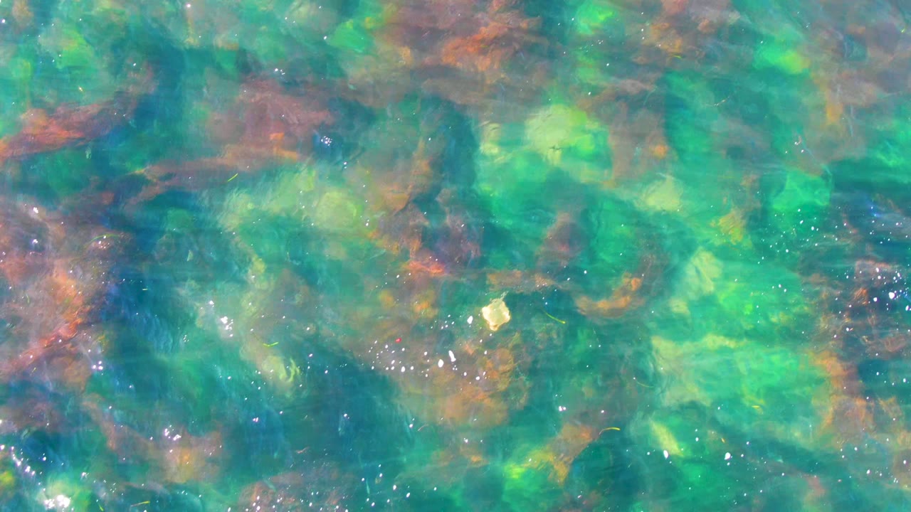 Turquoise shallow water with orange-brown seabed patches below the surface.