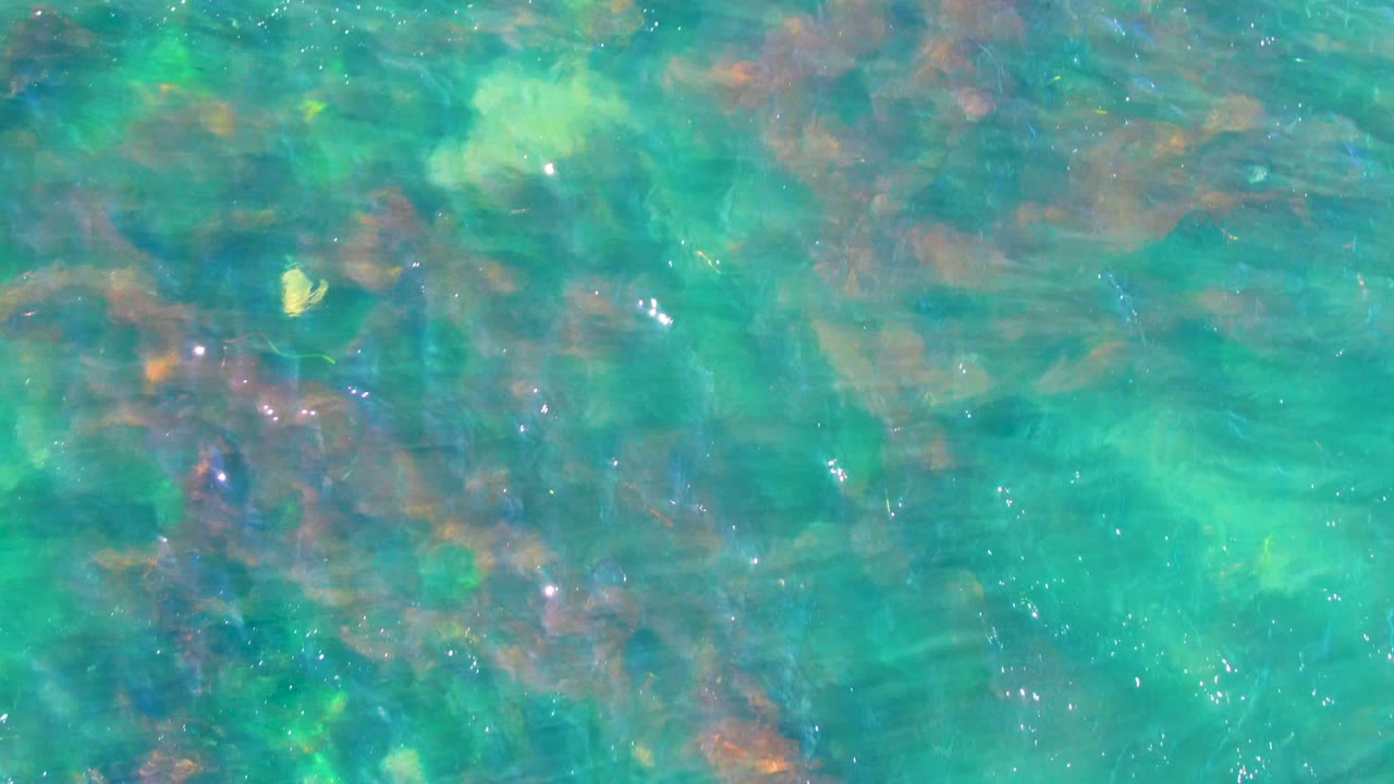 Turquoise shallow water in La Bocana, Baja California Sur shows brown rocky patches beneath ripples and scattered sun glints, with no visible people.