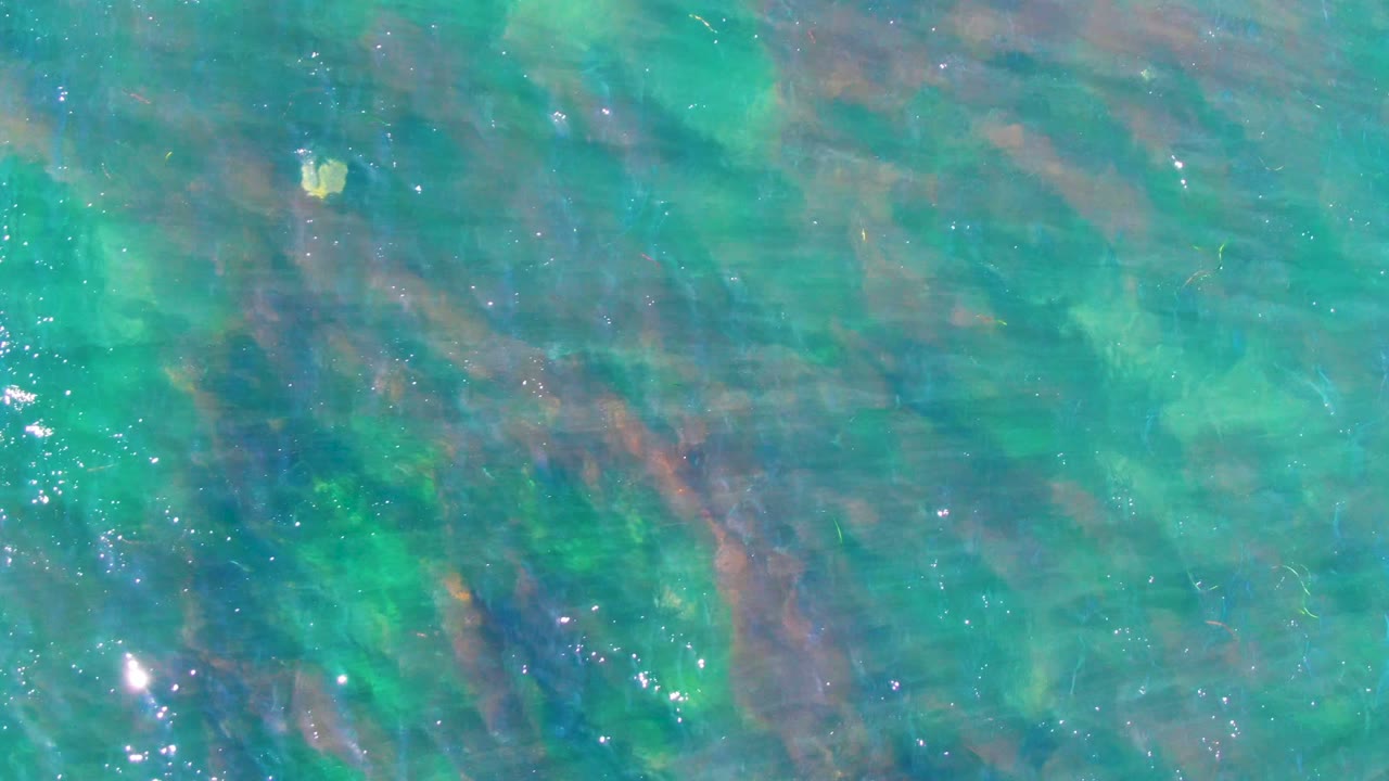 Shallow turquoise water in La Bocana, Baja California Sur shows mottled green and brown seabed tones under rippled light, with no visible people.