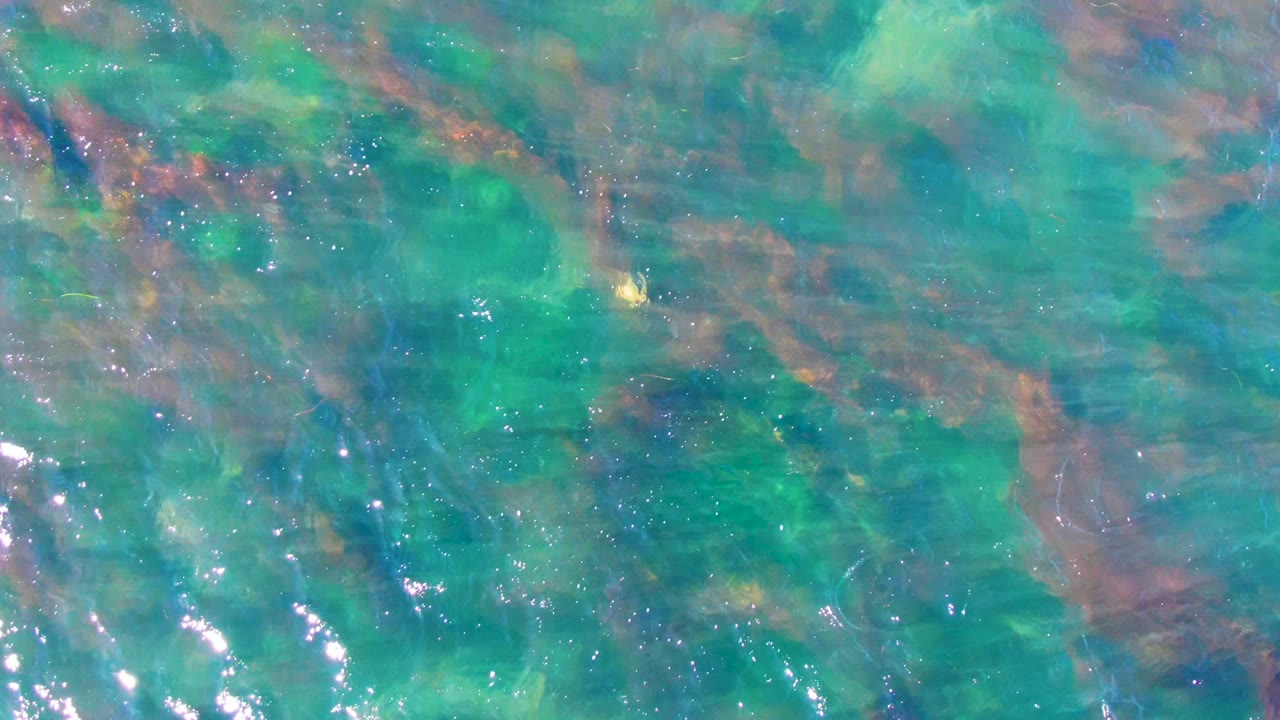 Clear shallow water at La Bocana, Baja California Sur, Mexico, with green-blue ripples, submerged rocks, bright sun glints, and no visible people.