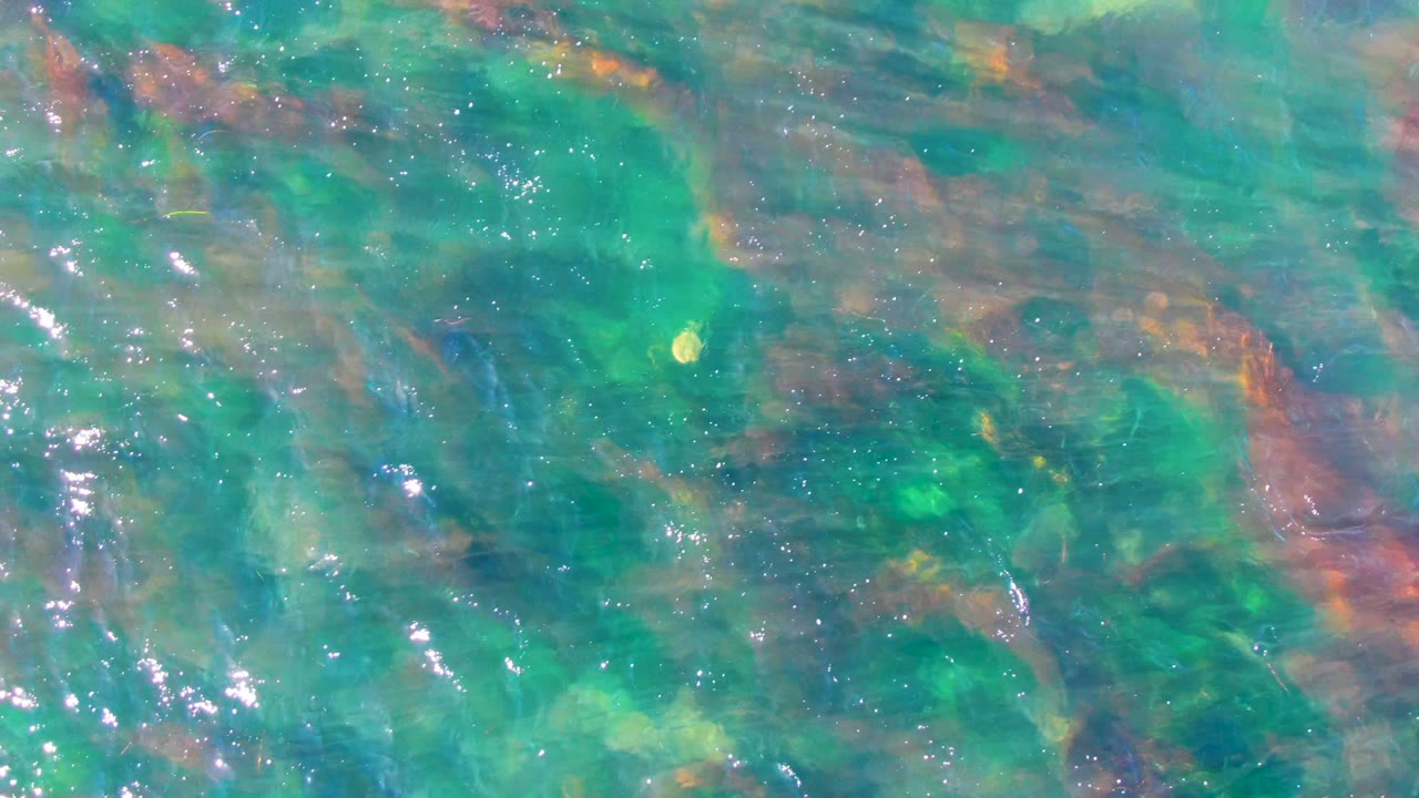 Transparent La Bocana shallows reveal green, blue, reddish, and yellow tones over the rocky seabed, with scattered surface sparkle and no visible people.