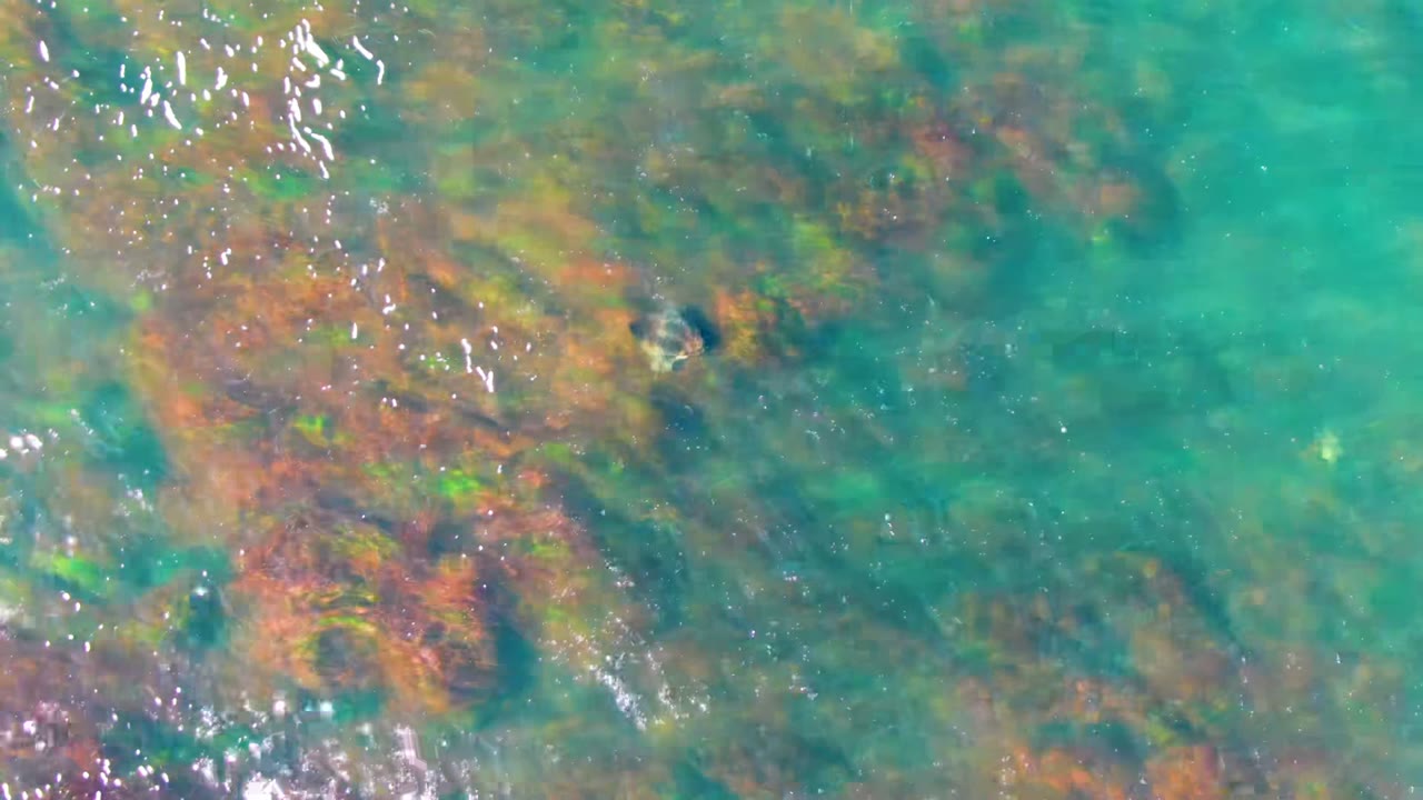 A sea turtle is faintly visible under turquoise water over reddish reef texture in La Bocana, Baja California Sur, with bright surface glints and no visible people.