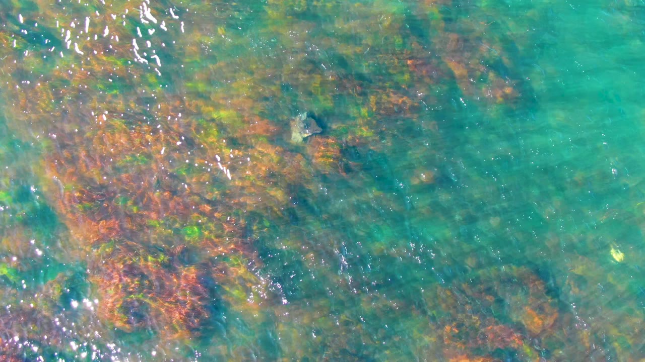 A small sea turtle shape sits just right of the reef-heavy area as turquoise water opens around it in La Bocana, Baja California Sur, with no visible people.