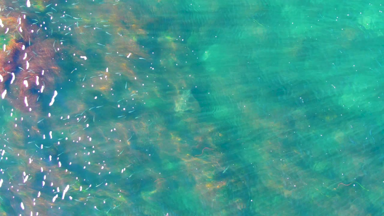 Clear turquoise water in La Bocana, Baja California Sur, with bright sun glints along the left side and darker seabed patches beneath the surface, no visible people.