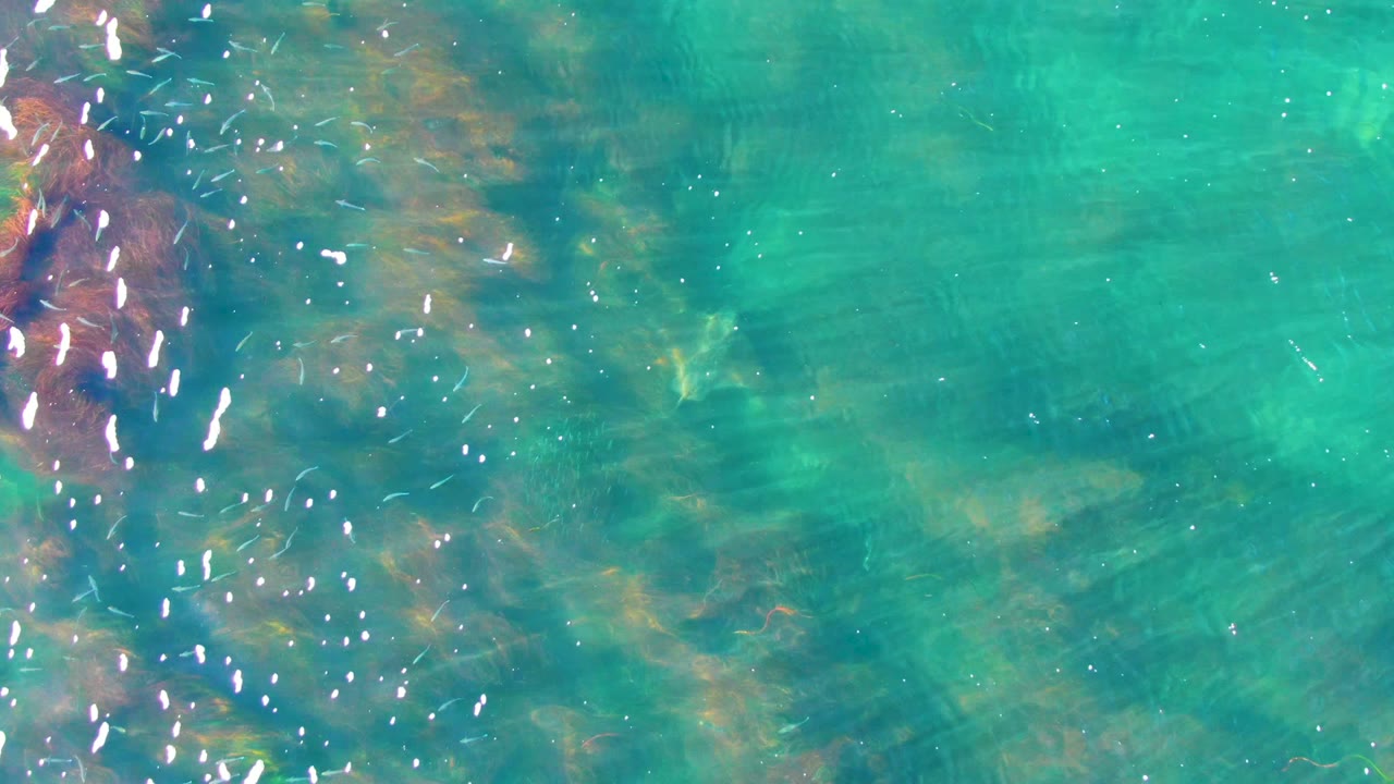 Overhead water view in La Bocana, Baja California Sur, with a bright vertical strip of sun reflections near the left and muted rocks visible under the turquoise surface, no visible people.