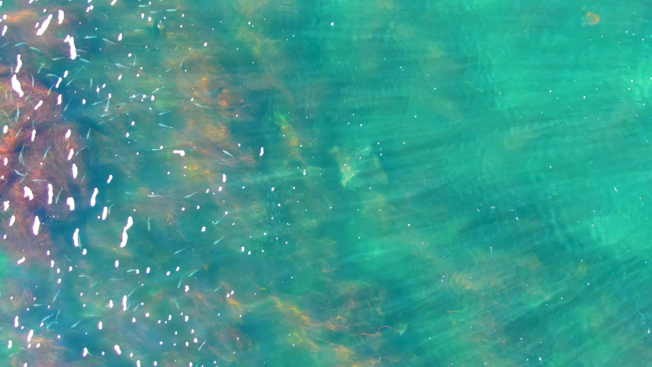 Clear blue-green coastal water in La Bocana, Baja California Sur, with scattered white sparkles, soft ripple lines, and faint submerged seabed shapes, no visible people.