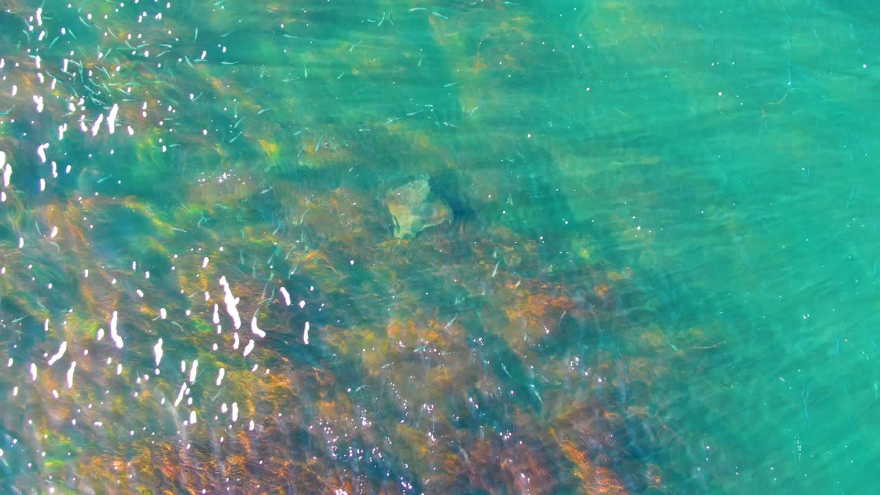 Overhead view of clear turquoise water in La Bocana, Baja California Sur, with bright ripples crossing a rocky and coral-colored seabed and no visible people.