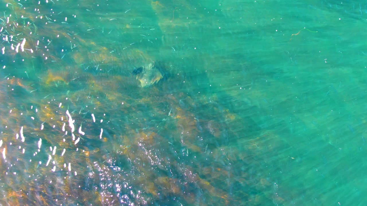 Clear shallow water with surface sparkle and submerged rocks.