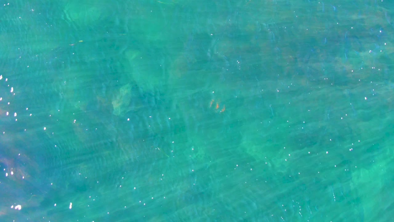Blue-green water surface with soft ripples and scattered white sparkles.