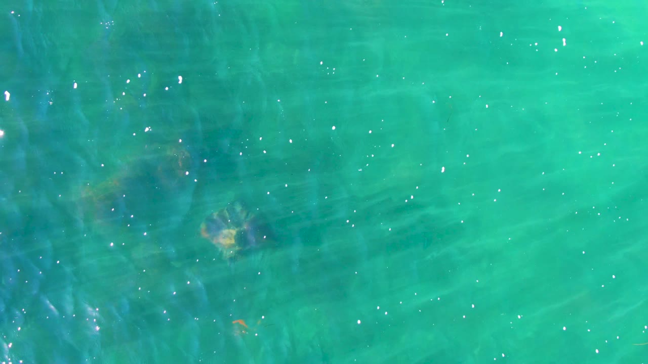 A faint stingray shape sits under brighter turquoise water near La Bocana, with glittering surface reflections and no visible people or vessels.