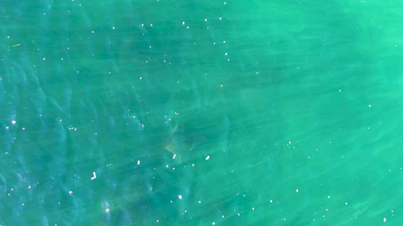 Top-down view of clear turquoise water in La Bocana with scattered sun flecks, faint small fish, and no visible people at the opening moment.