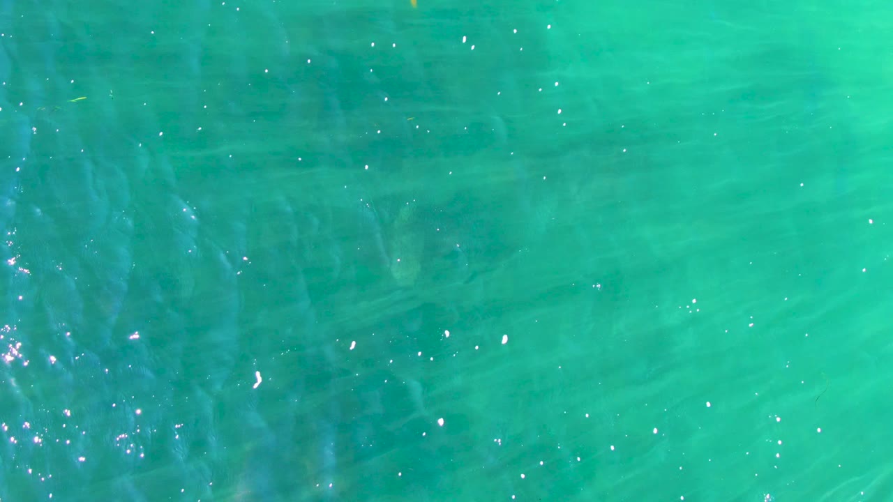 Clear green-blue water with ripples and small fish shapes