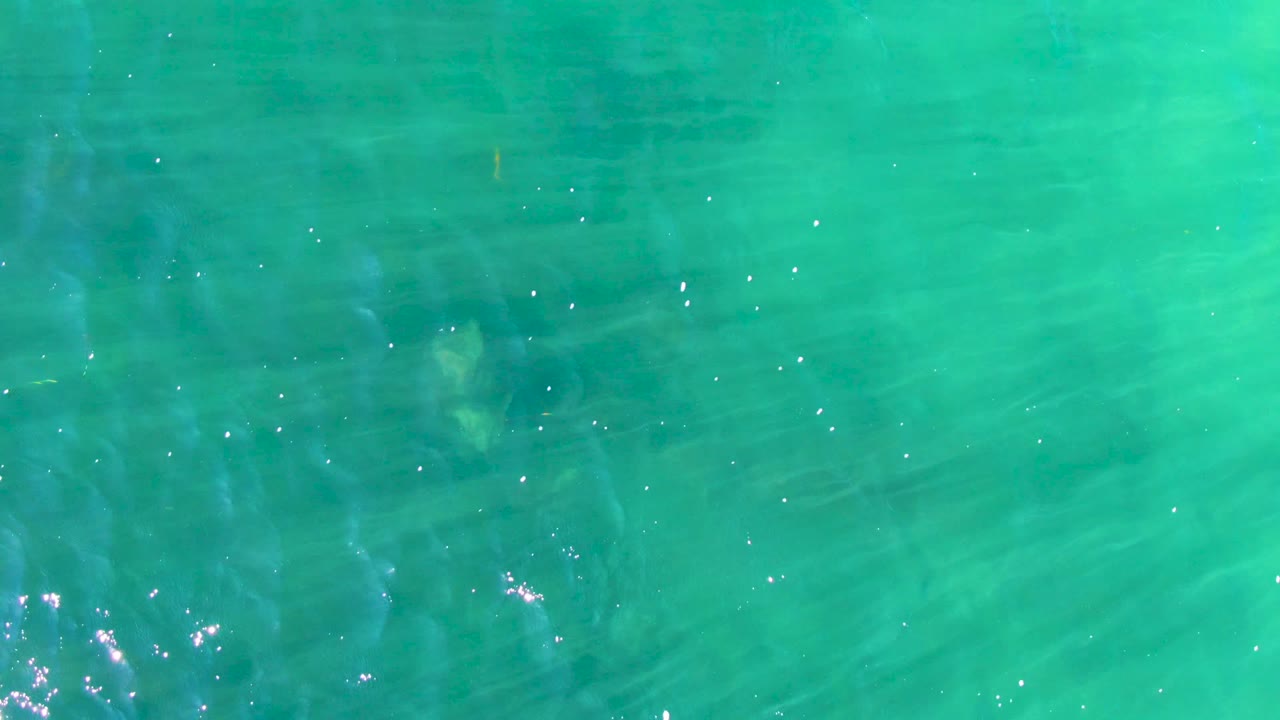 Rippled turquoise ocean surface with subtle fish movement