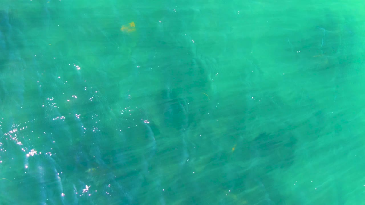 Overhead view of clear turquoise water in La Bocana, Baja California Sur, with faint small fish near the surface, scattered sunlight glints, and no visible people.