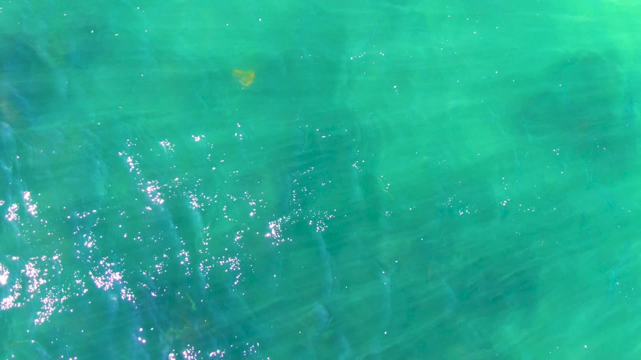 Clear turquoise water with bright shimmer and small fish shapes.