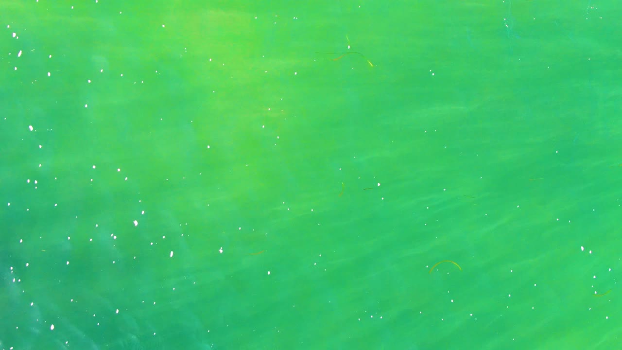 Bright green ocean surface in La Bocana with scattered white bubbles or reflections near the left side and no visible people.