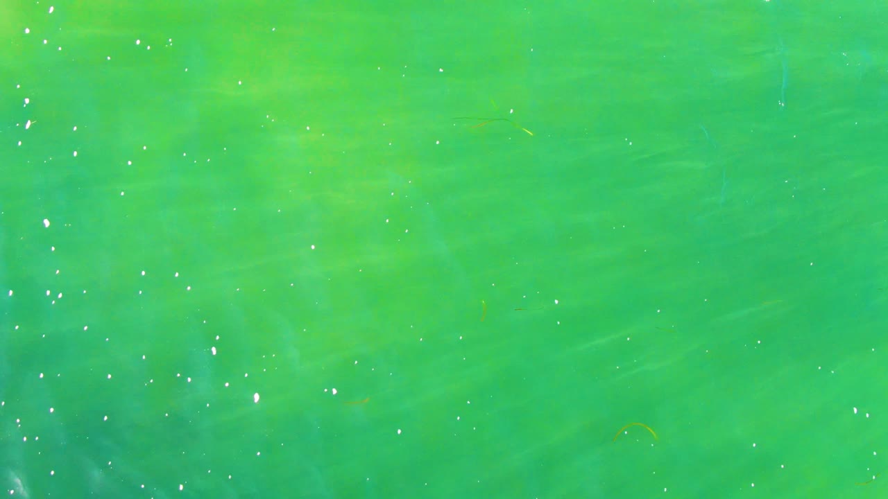 Green rippled water with clustered white particles