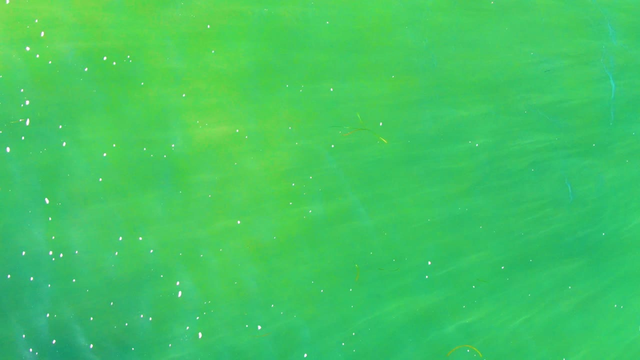 Overhead green ocean surface in La Bocana with bright white specks near the upper right area and no visible people.