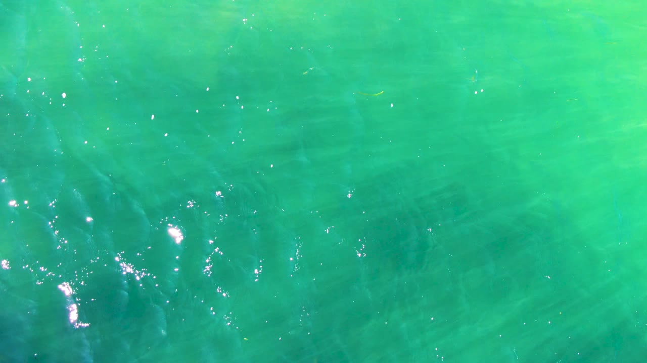 Blue-green water surface with faint underwater streaks and light sparkle.