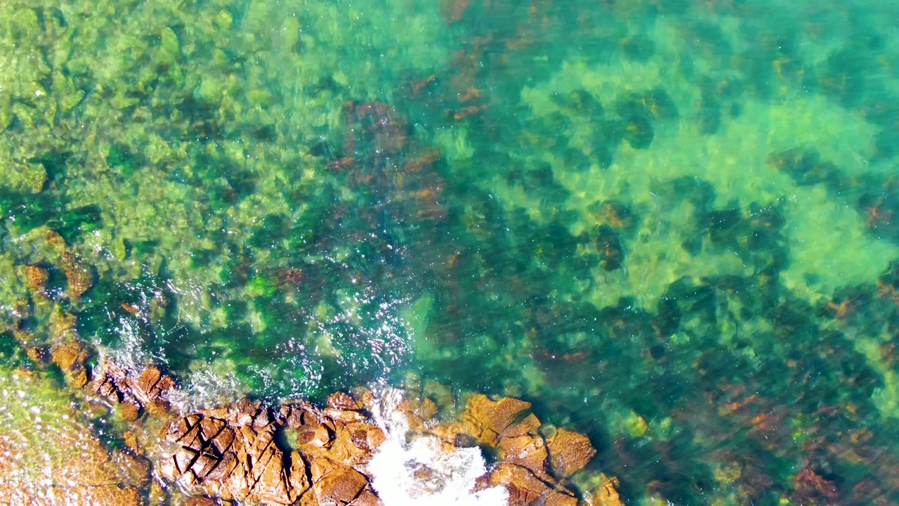 Top-down view of clear green water, submerged dark algae patches, orange-brown rocks, and white foam along the La Bocana shoreline, with possible small waders near the lower left edge.