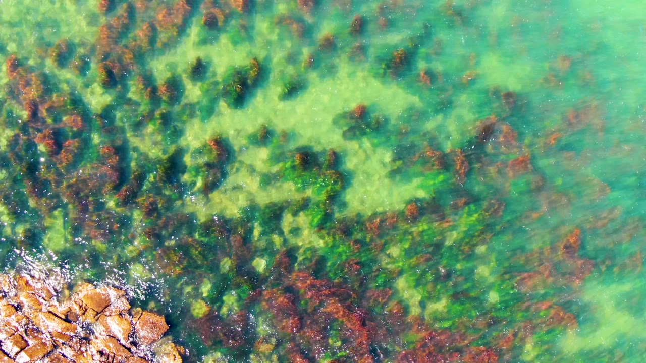 Turquoise water and seaweed patches beside orange shoreline rocks