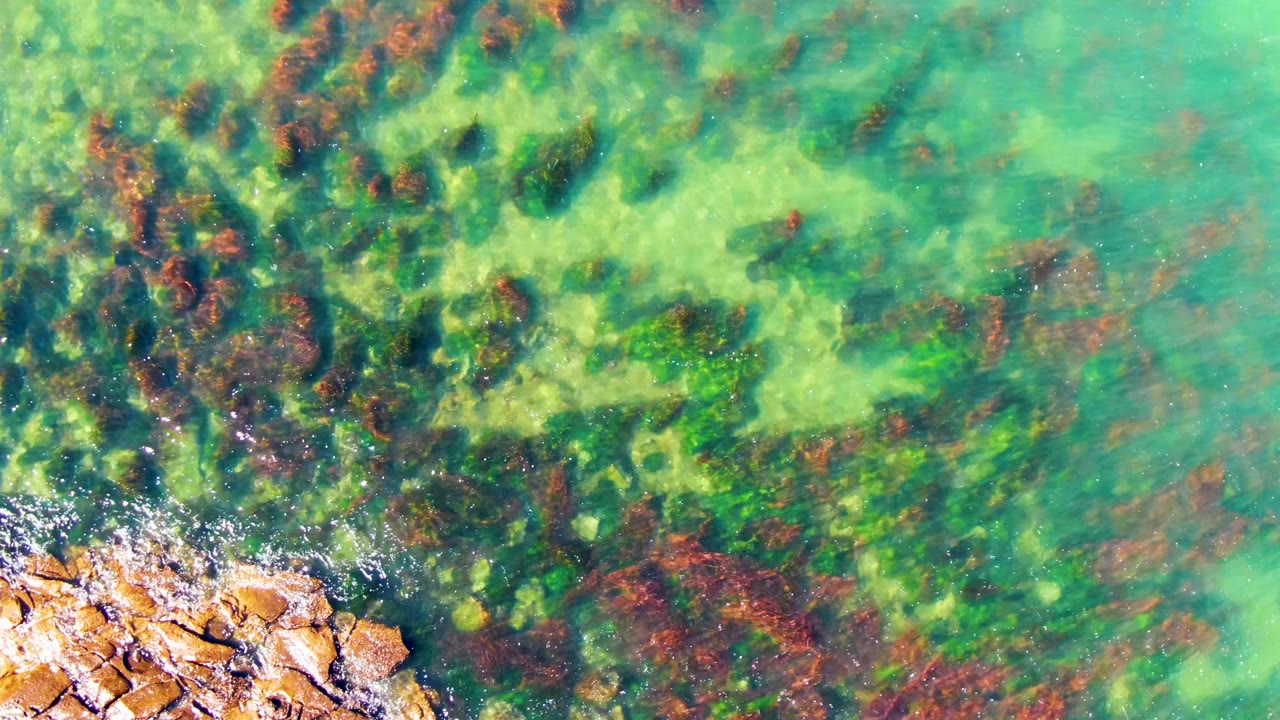 Aerial-looking view of shallow green water with darker seaweed bands and a rocky lower-left edge in La Bocana, Mexico, with no visible people.