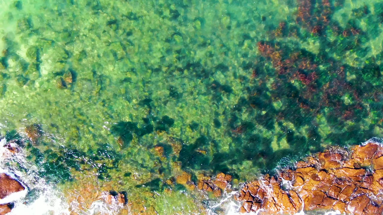 Green shallow water over rocks with foam on the shoreline