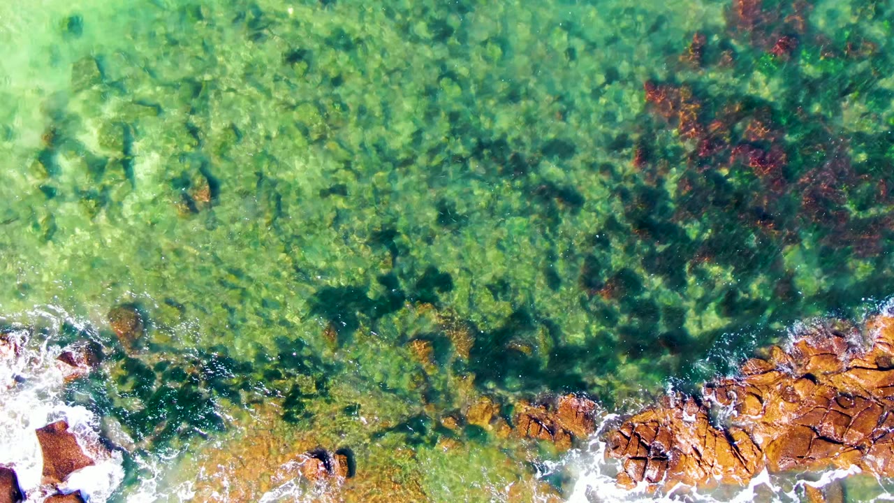 Aerial view in La Bocana, Baja California Sur with clear green water above dark underwater growth, orange rock ledges at the lower frame, and a fresh band of white surf foam, with no visible people.