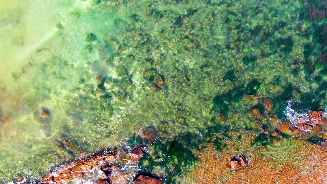 Overhead frame of clear green water over submerged rocks near a rocky shore in La Bocana, Baja California Sur, with pale silt at left and no visible people.