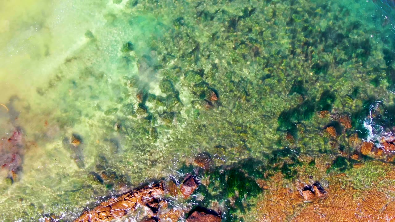 Green shallow water with rocks and small foam near the shore.