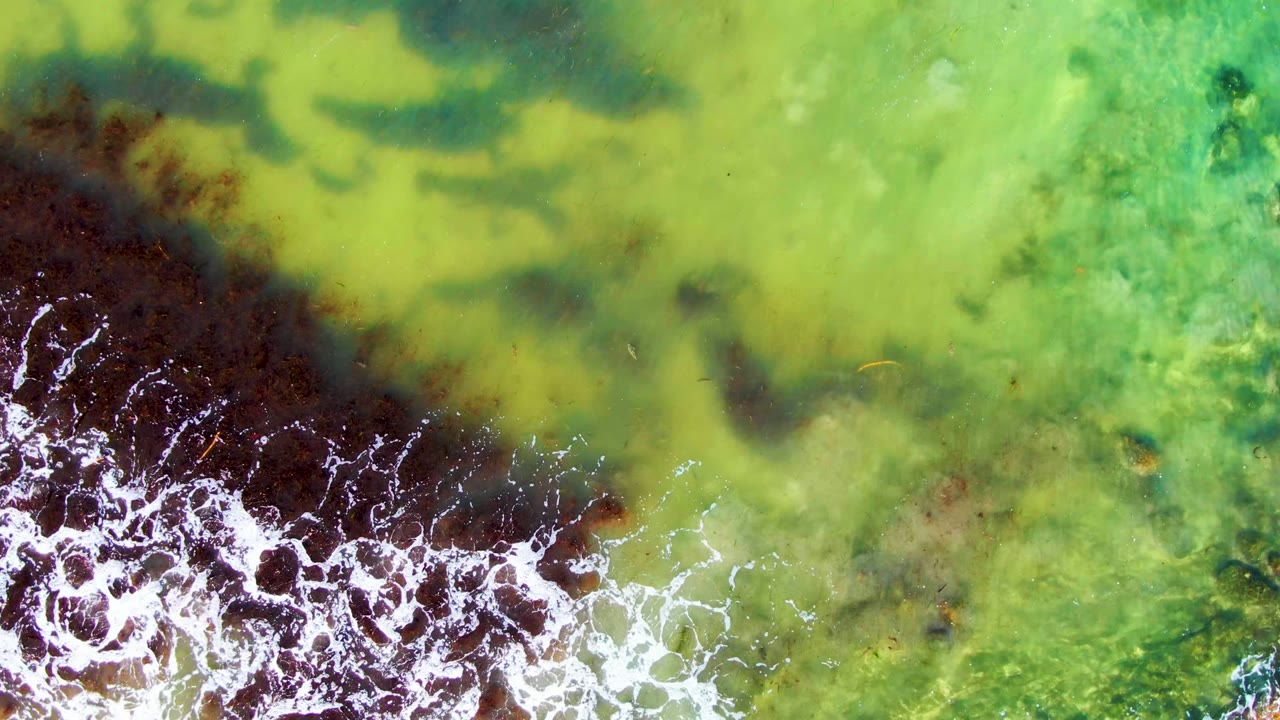 Top-down view of green-yellow shallow water over dark seaweed and white foam at La Bocana, Baja California Sur, with no visible people.