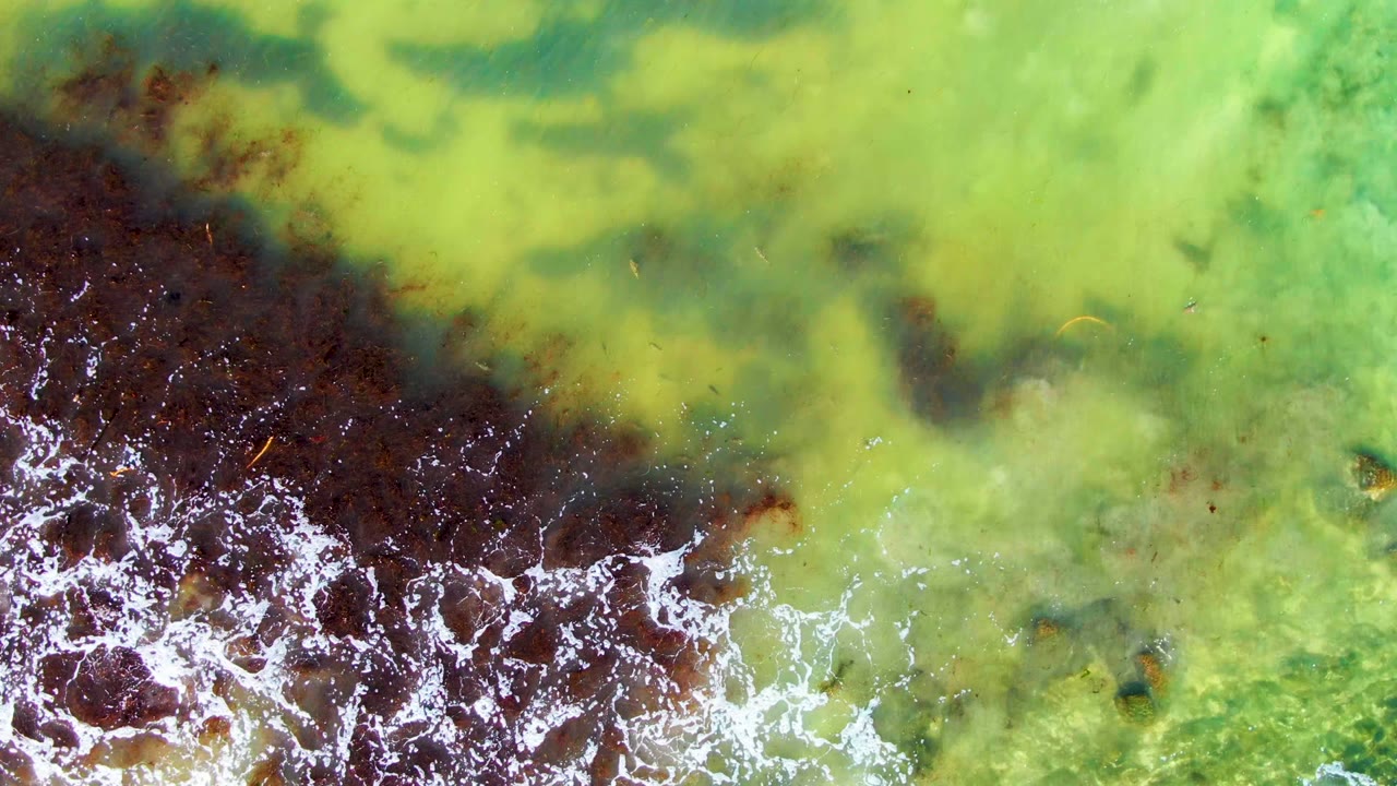 A diagonal dark seaweed band sits under green coastal water while scattered white foam breaks along the lower left at La Bocana, with no visible people.