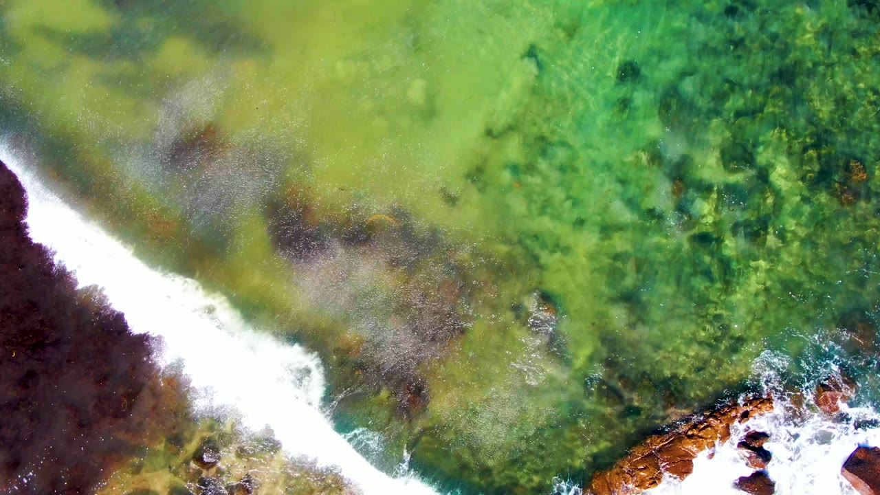 A bright foam band spreads beside darker water and submerged rocks in the green shoreline shallows at La Bocana, Mexico, with no visible people.