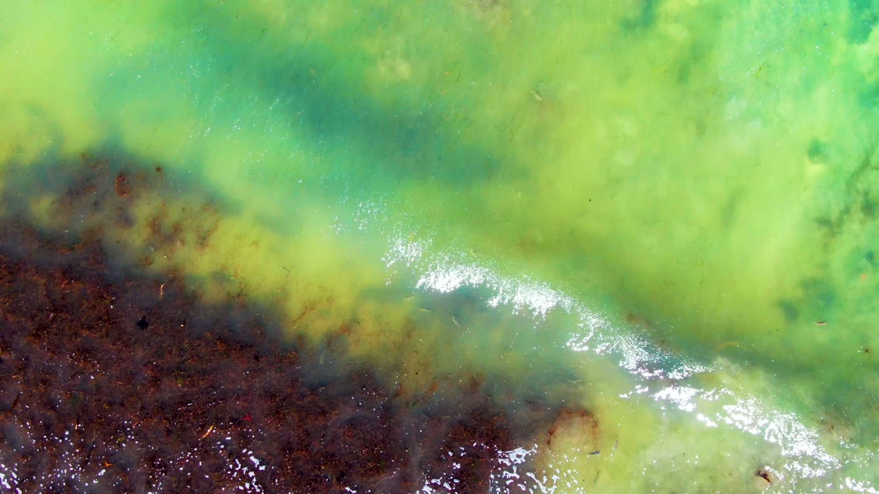 Overhead view in La Bocana, Baja California Sur, showing green and yellow tidal water along a dark shore edge with bright foam and no visible people.