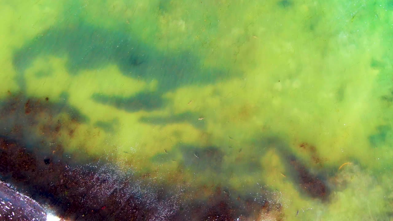 Overhead frame from La Bocana showing cloudy green water, dark submerged coastal texture near the lower edge, small white foam patches, and no visible people.