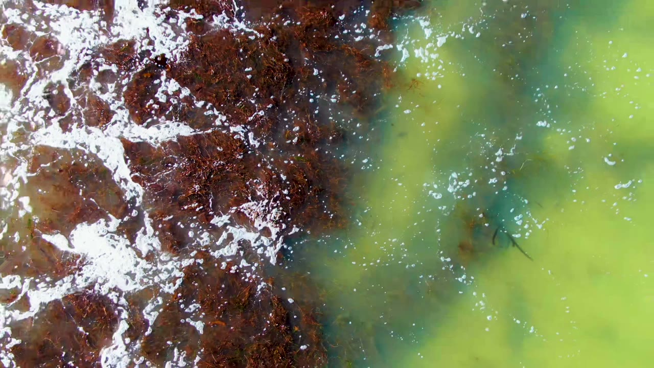 Top-down view in La Bocana, Baja California Sur, Mexico, with dark brown water on the left meeting bright green shallow water on the right, white foam flecks, reflective highlights, and no visible people.