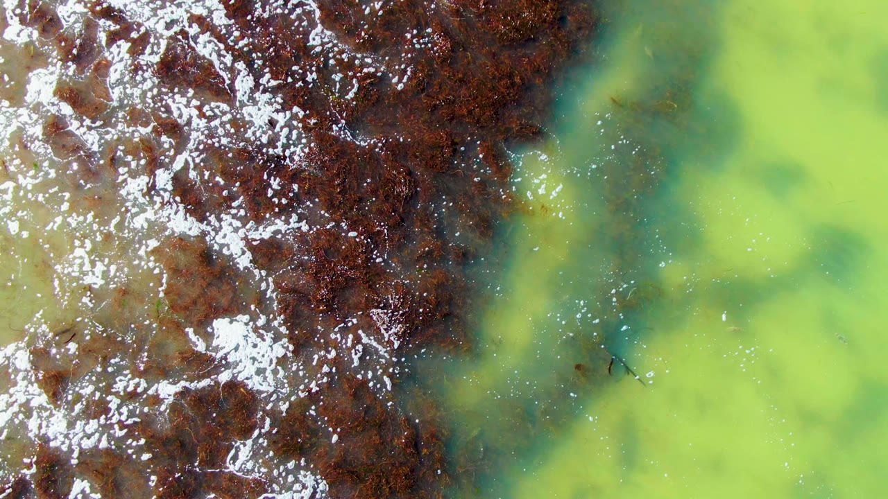 Top-down coastal water view in La Bocana with a dense brown patch across the upper left, green water to the right, scattered white foam, darker submerged shapes, and no visible people.
