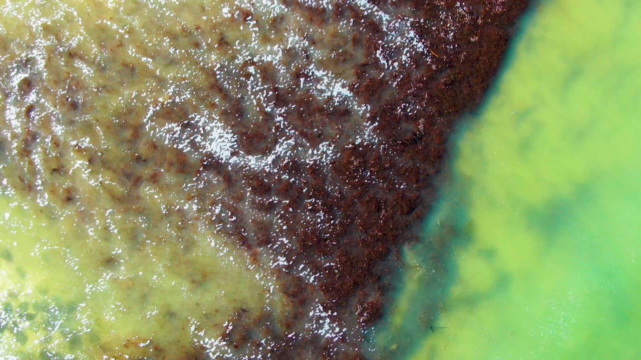 Top-down view of green water, yellow-brown shallows, and dark brown current bands in La Bocana, Baja California Sur, with no visible people.