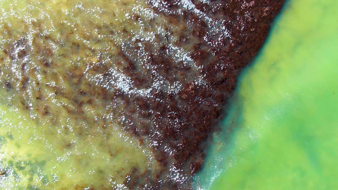 Glossy brown current beside bright green water.