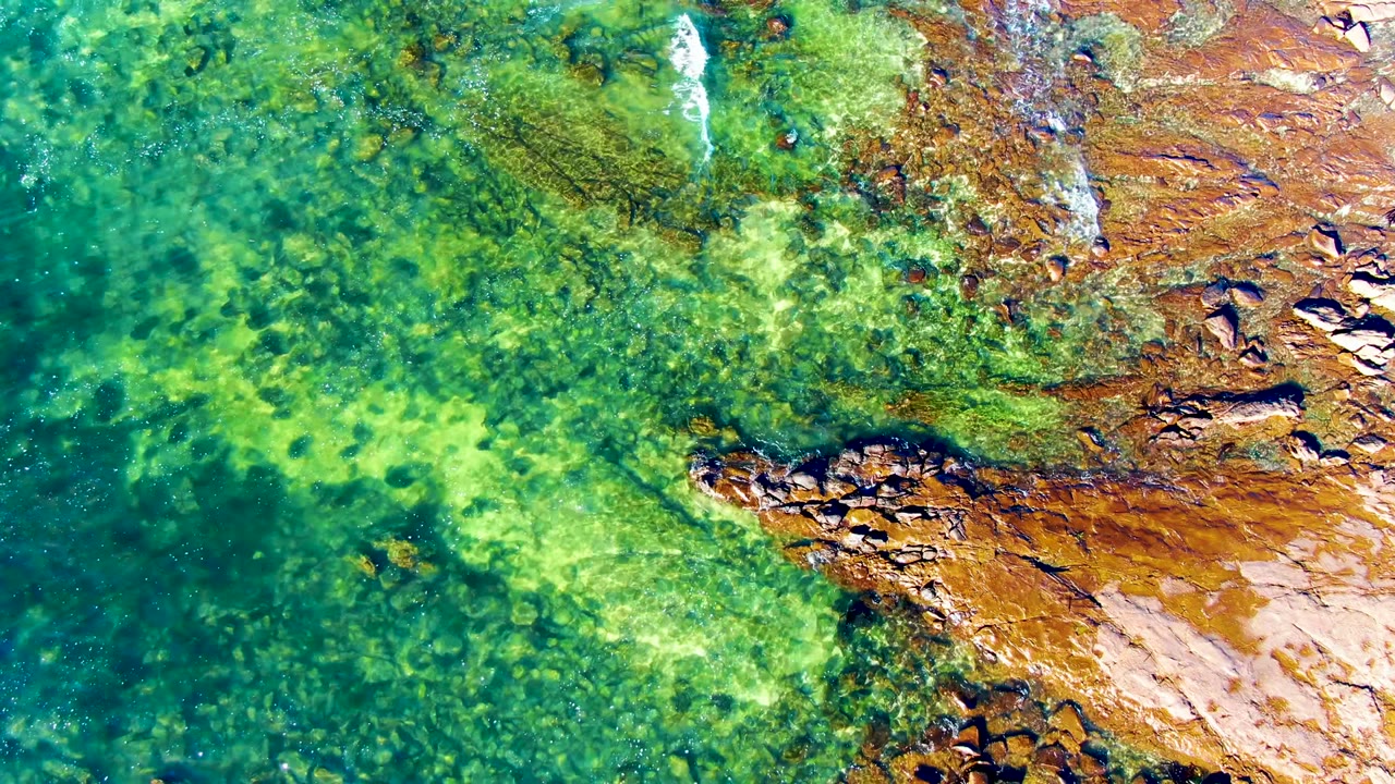 A thin white foam line appears near the upper right as clear green water covers submerged rock and algae along the La Bocana shore, with no visible people.