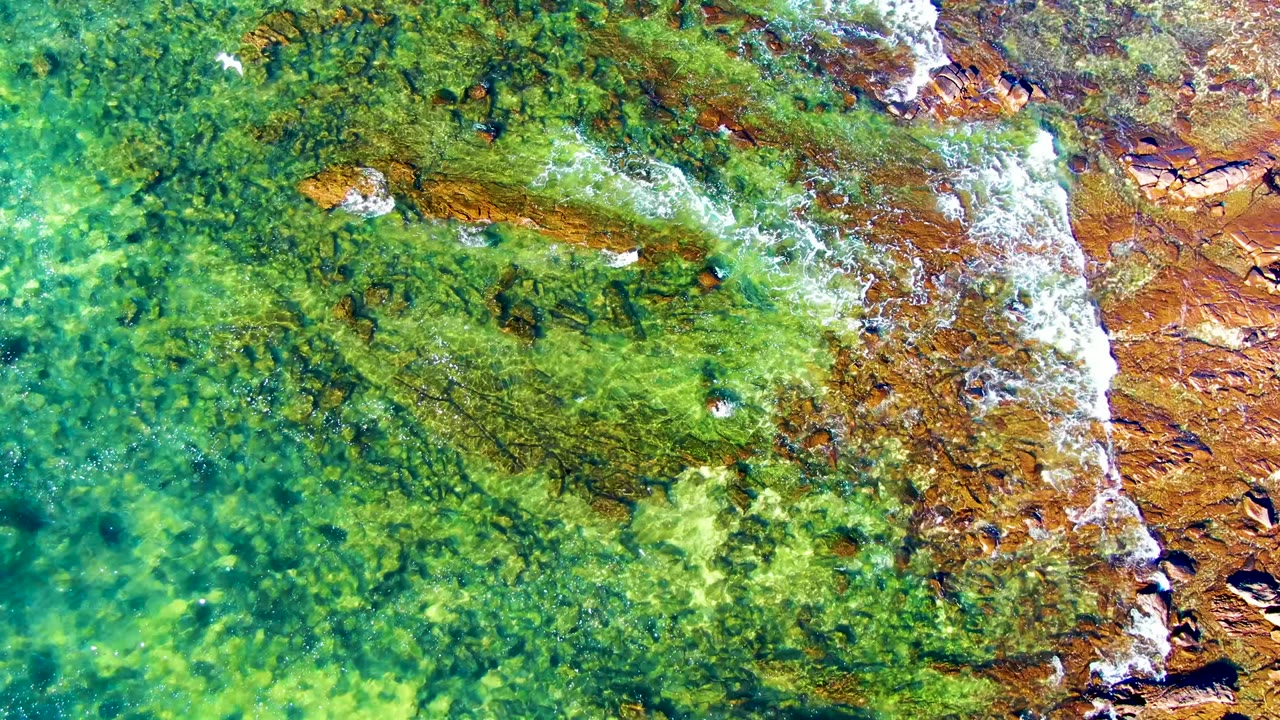 Top-down view of shallow green water over algae and brown shoreline rock at La Bocana, Baja California Sur, with white foam along the right side and no visible people.