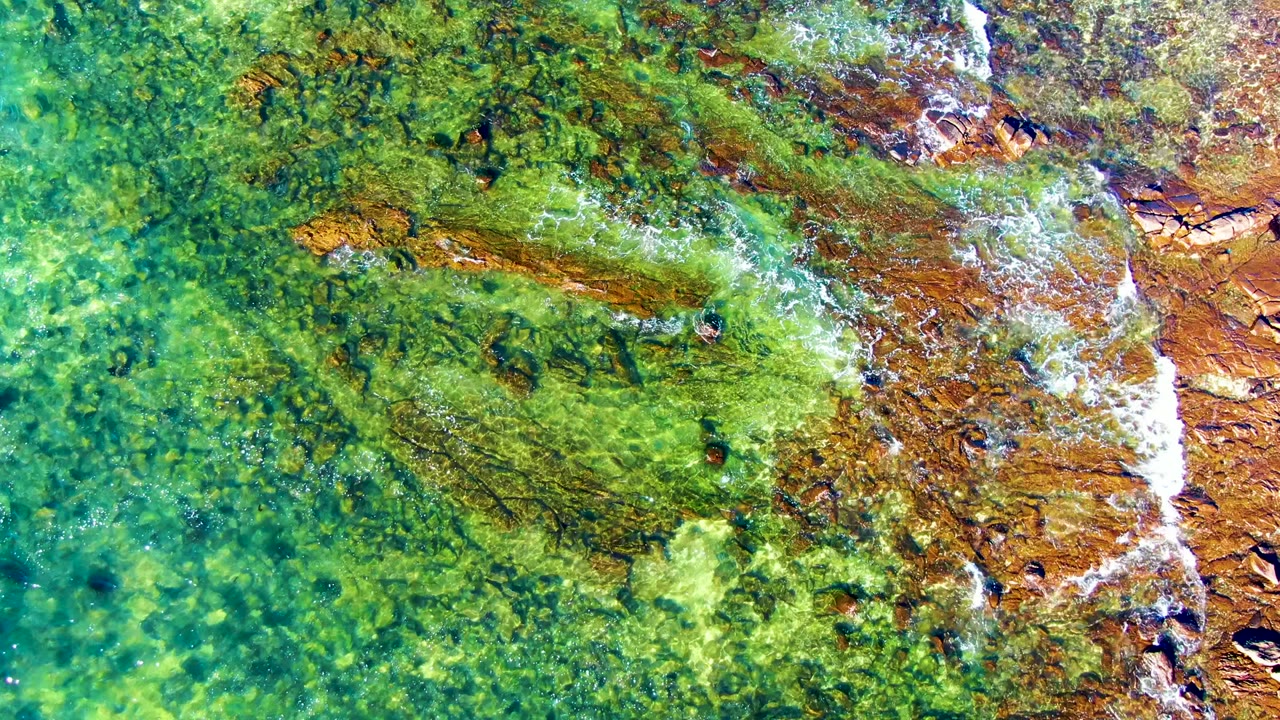 Clear green water crossing algae-covered rock beside foamy shoreline