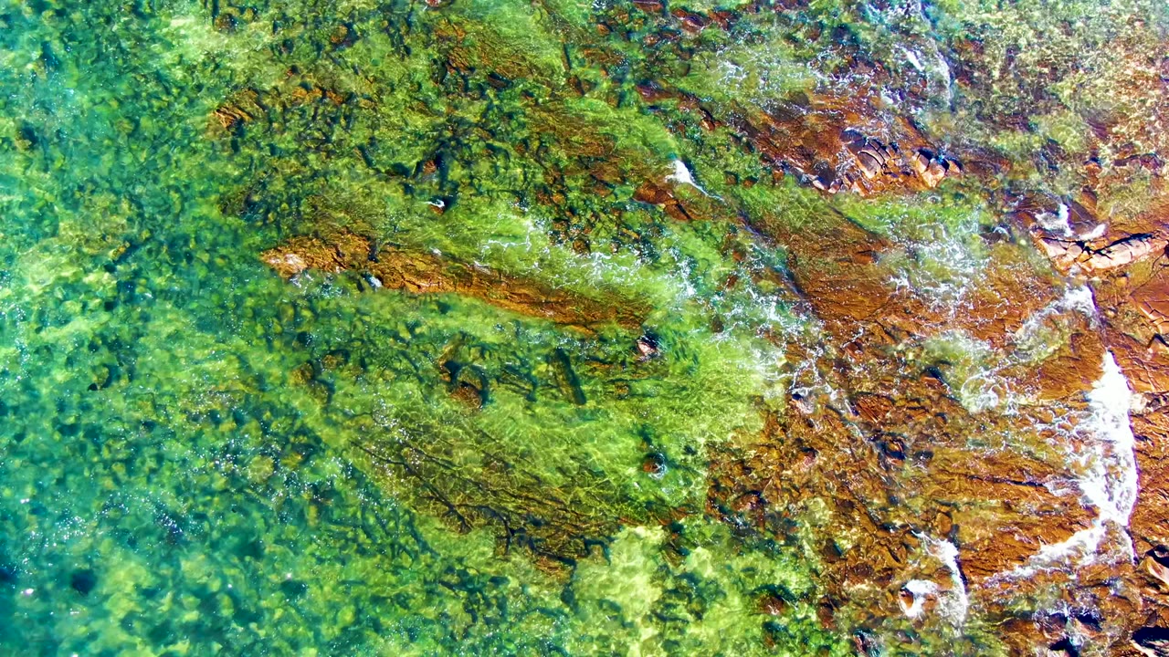Overhead drone-style view of green-blue shallow water at La Bocana, Baja California Sur, with diagonal algae patches, brown rock, white foam, and no visible people.