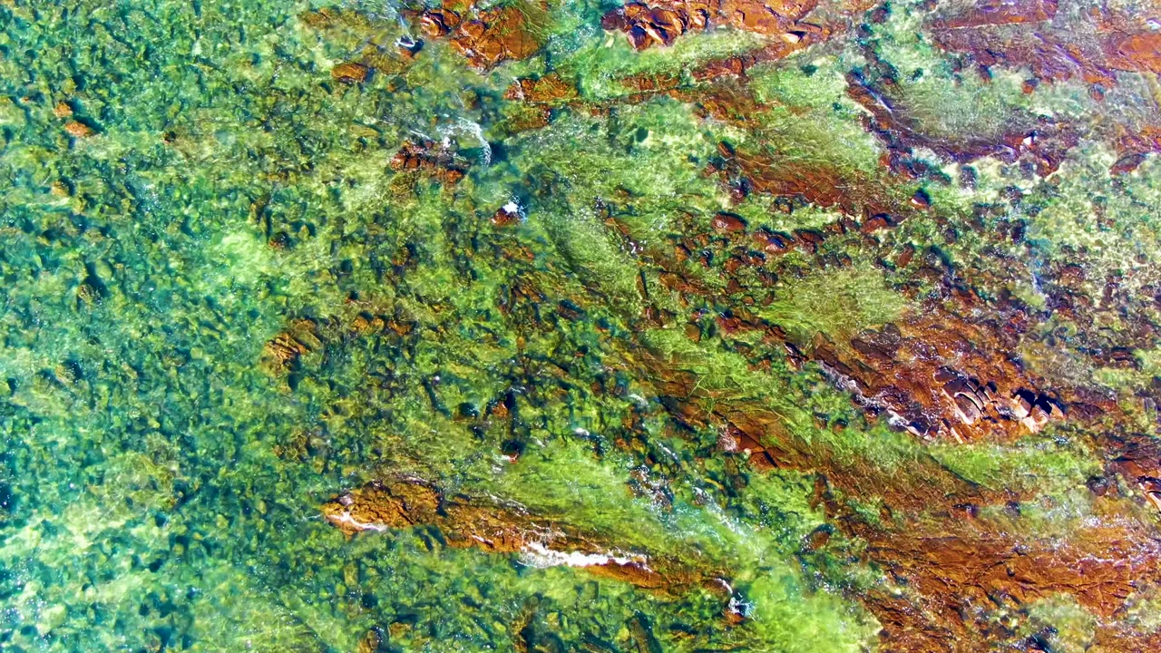 Top-down drone-style frame from La Bocana, Baja California Sur, showing green-blue water over mottled brown exposed ground and scattered darker shapes, with no visible people.