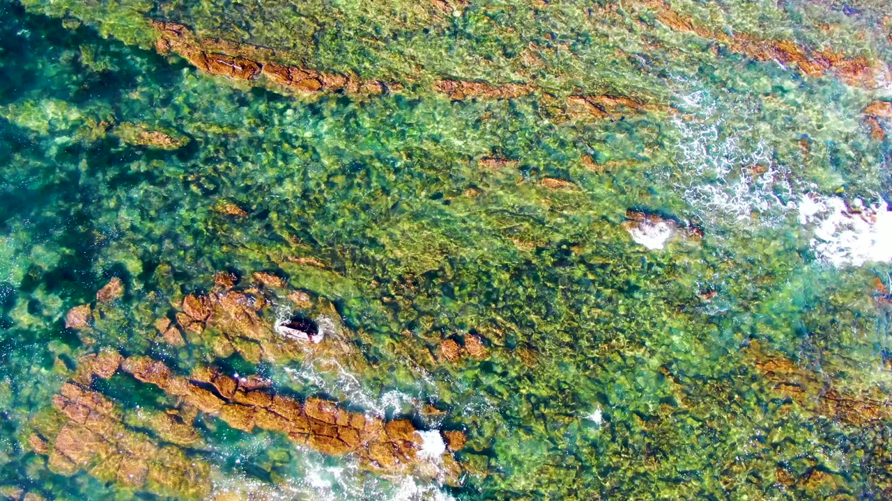 Top-down view of clear green-blue water over algae-covered rocks in La Bocana, Baja California Sur, Mexico, with white foam near rock edges and no visible people.